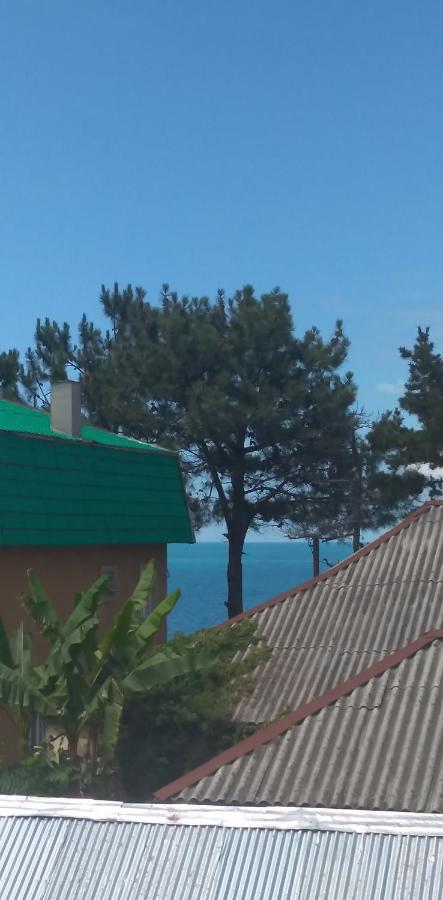 Tea * Kobuleti